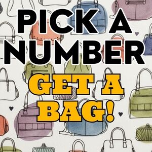 🥳BIRTHDAY FUN🥳Mystery Handbag - Pick a Number Get a Bag